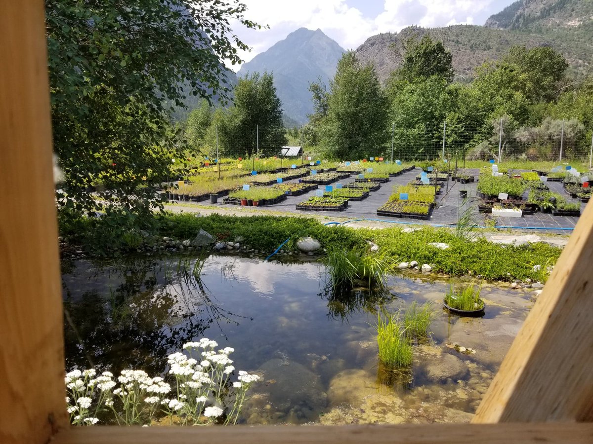 Splitrock Environmental tweet media