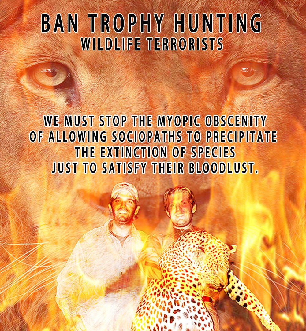 _AnimalAdvocate's tweet photo. We've wiped out 60% since 1970 🐆💔
If you are paid to do it; STOP ILLEGAL!👹
Yet #itisperfectlylegalto terrorise the last #wildlife for fun; if you pay first🤯
In unrelated news:
The @WWF still want #TrophyHunting to be legal.💲🤬
https://t.co/7T7tj0xFrz
@Protect_Wldlife🐾 https://t.co/fVcxDXkFM1