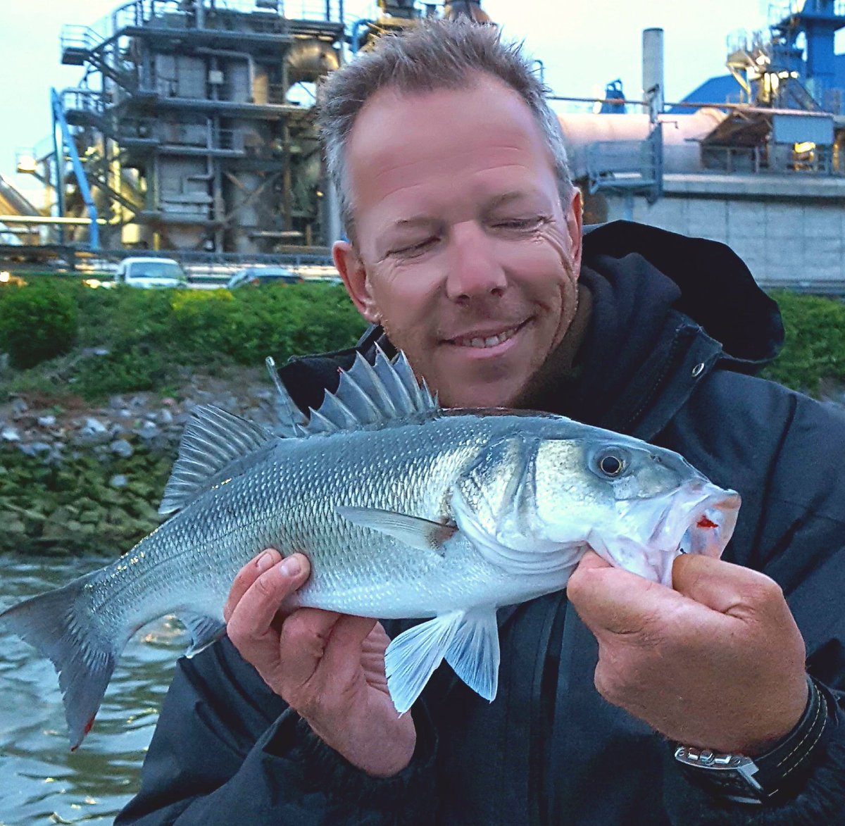 Waarom ik dit Tweet? Gewoon omdat het een waanzinnig mooie vis is ...en ik een beetje trots ben.