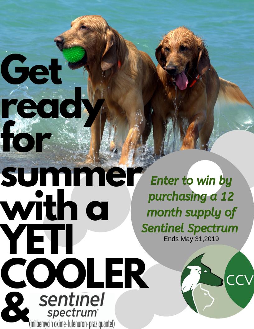 ⭐Just One More Day To Enter ⭐

The raffle drawing will be held LIVE on Facebook May 31st. Make sure you stop in and purchase a 12 month supply of Sentinel Spectrum and enter to win.

💻-  1l.ink/QG444TW