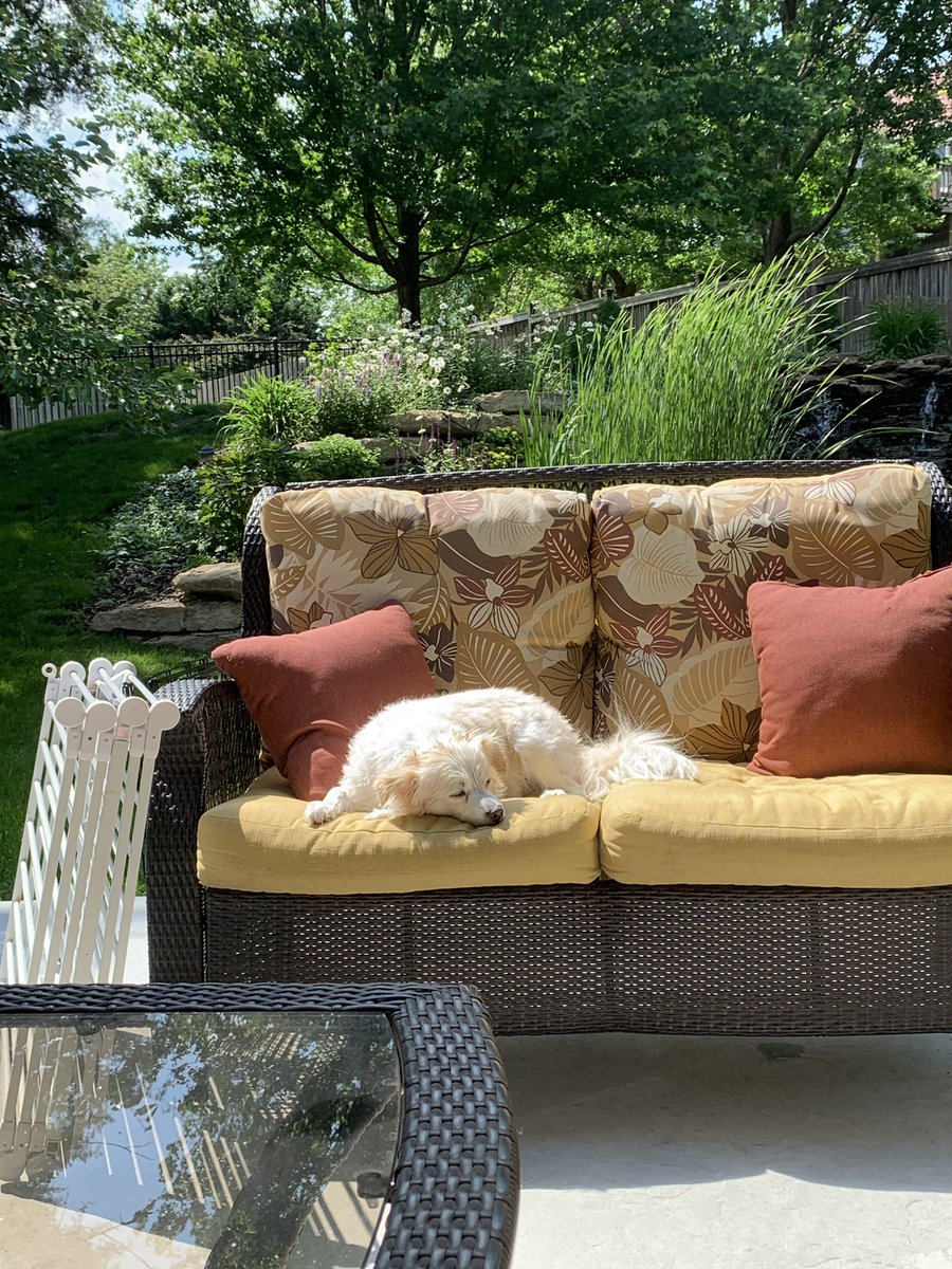 ParMonty's tweet photo. Post-bath basking. #cutie https://t.co/HaeufTylQb