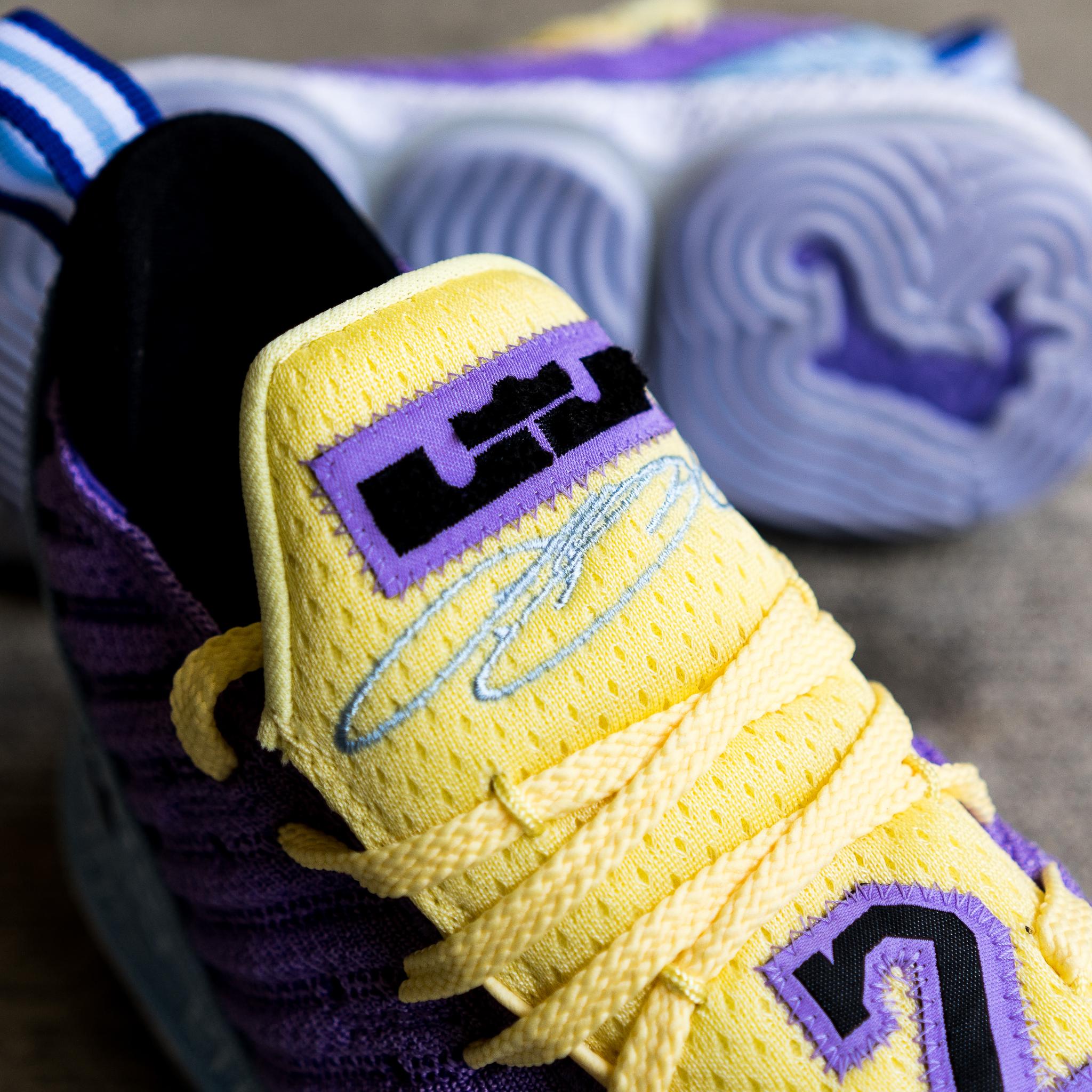 lebron 16 hibbett sports