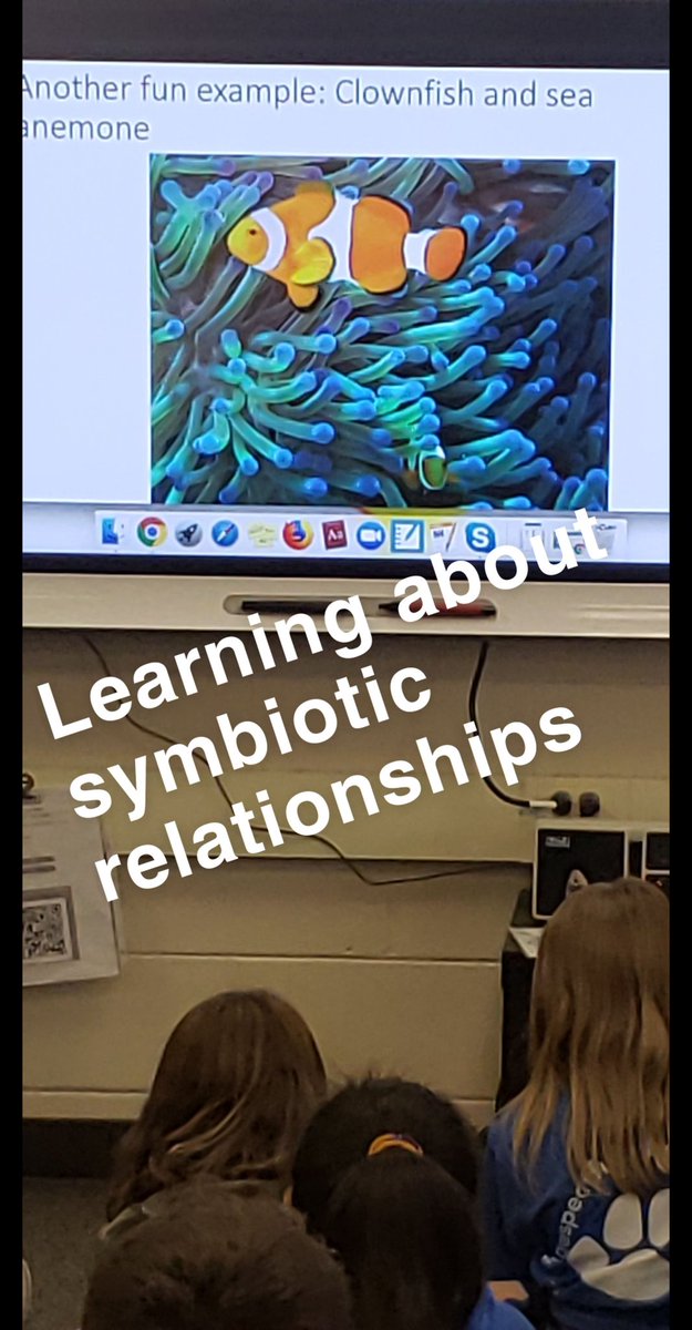 KosKonnects102's tweet photo. Wrapping up our science year with another informative @Skype session w/ @radikes. @kosienm @CheetahChamps @JackieJaje @shelly_collins1 #ccsd93 #skypeascientist https://t.co/avR6UMsCJ9