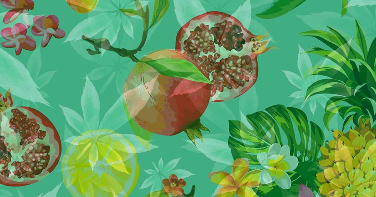 Conoce los tipos de #terpenos, vía <a href="/revistacanamo/">Revista Cáñamo</a> ow.ly/Glzg50usJQm