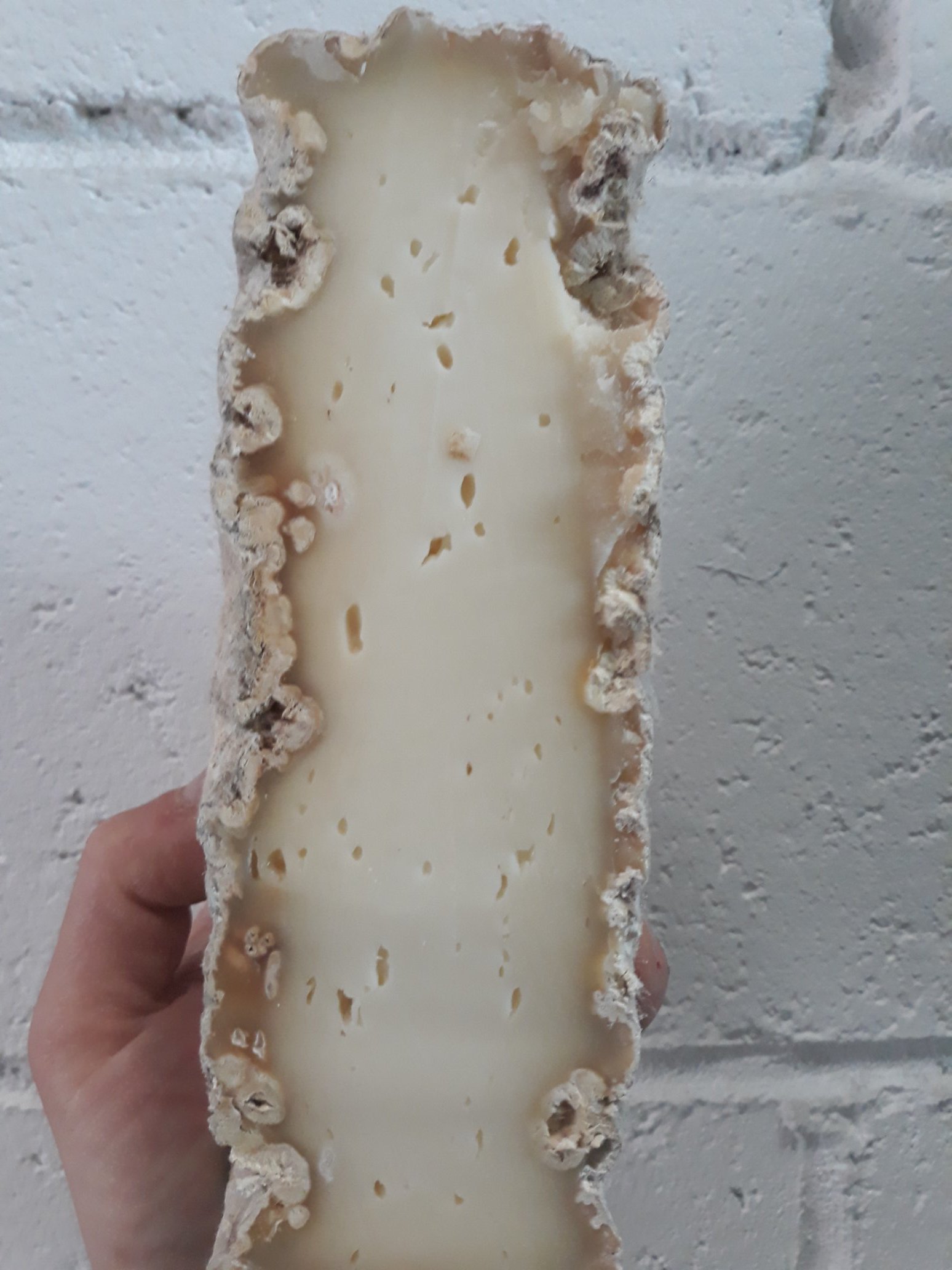 CapoCacciaFineFood on Twitter "We're absolutely thrilled by these 2