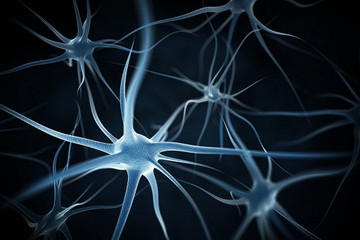 Americans4Cures's tweet photo. By utilizing #stemcell lines,  @UBuffalo researchers identify the first human-specific fusion gene (two gene hybrid) that protects neurons against amyloid beta protein buildup, a hallmark of #Alzheimer’s disease: https://t.co/VEpNOLIRYb https://t.co/COOBOdpZUG