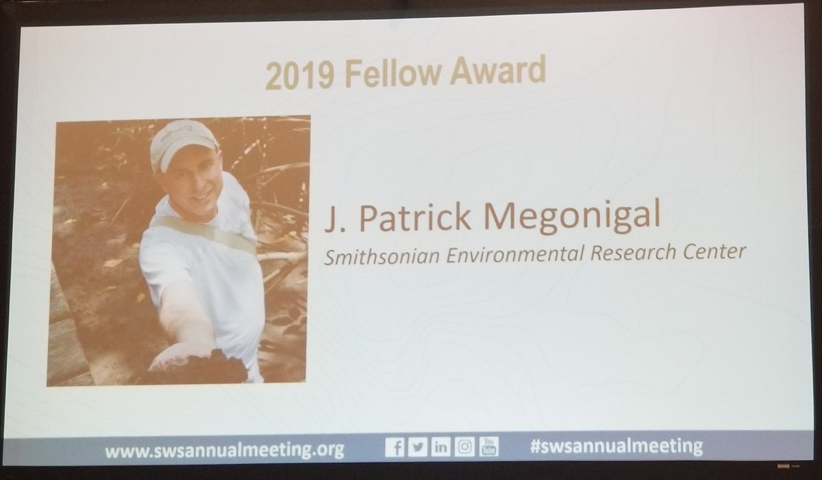 TJMozdzer's tweet photo. Congratulations Pat Megonigal on being named a SWS Fellow!  You have been  inspiration to many wetland scientists.  @SmithsonianEnv #SWSAnnualMeeting https://t.co/0bumMrYNoe