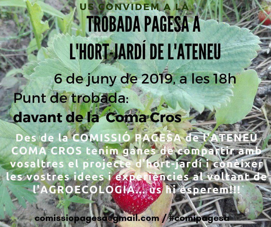 ateneusalt's tweet photo. La propera setmana la comissió pagesa compartirà l'hort-jardí de l'Ateneu 🌿
Animeu-vos a participar i explicar les vostres idees i experiències al voltant de l'Agroecologia.

📅6 de Juny
🕕18:00h
📍Davant de la Coma Cros
#tuEtsAteneu #femAteneuSalt #comipagesa https://t.co/X0zXvxXPo1