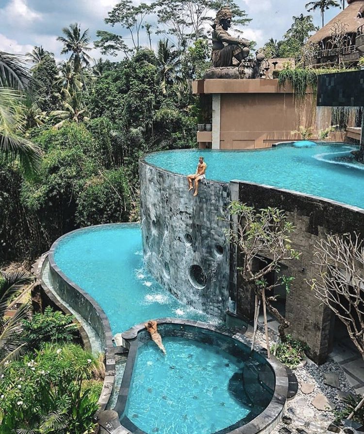 tmbIrpics's tweet photo. The Kayon jungle resort 🍃 https://t.co/OjlFdJbMuh