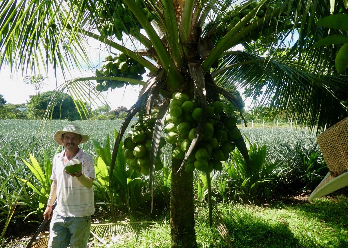 Have you ever wanted to meet the #farmers behind your #fairtrade products? 🌴 On a <a href="/MeetThePeople/">Meet the People</a> tour you'll get the opportunity to enhance your senses in Southern India or visit the hot springs in Costa Rica! Explore &amp; see what adventure awaits you... >> bit.ly/2Ic8jos