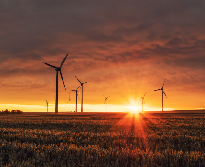 This month we've shared stories from B Corp and friends about business creating social change. In June, let's take climate action! #BtheChange 🌍