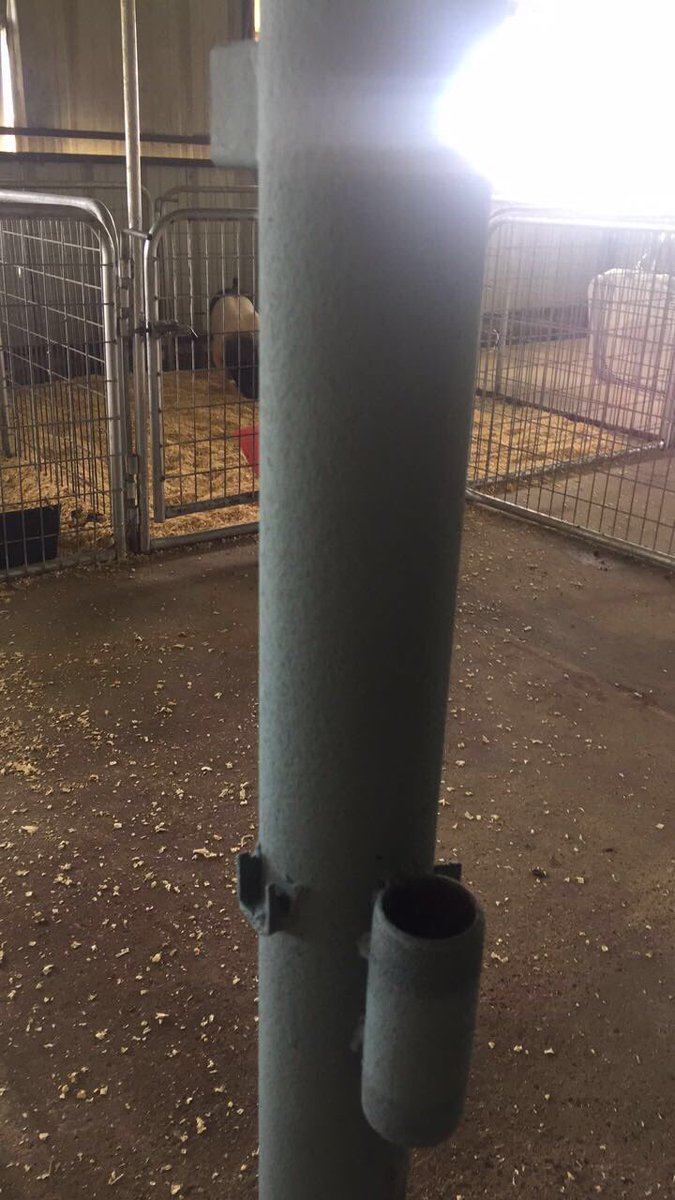 snowsworld01's tweet photo. The FHS pig barn did some minor painting and added a little teal for our Em and softball gals. We are ALL rooting for yโall! @Play4Em @Forneysoftball @meremere0101 #WePlayforEm #ForneyFFA #AustinBound https://t.co/GjU7PtxlVb