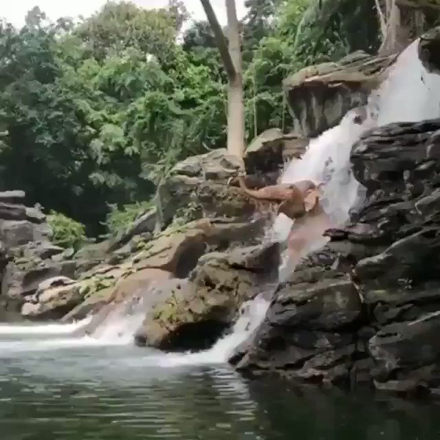 sanorita (@sanorit36613800) on Twitter photo 