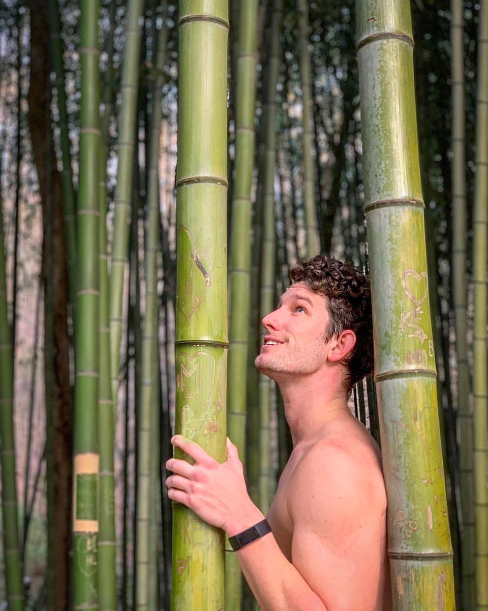 Boys With Plants On Twitter Boyswithplants Boy Jaekcarlin Plant Boyswithplants Boy Jaekcarlin Plant Bamboopic Twitter Lxv4ucjta9