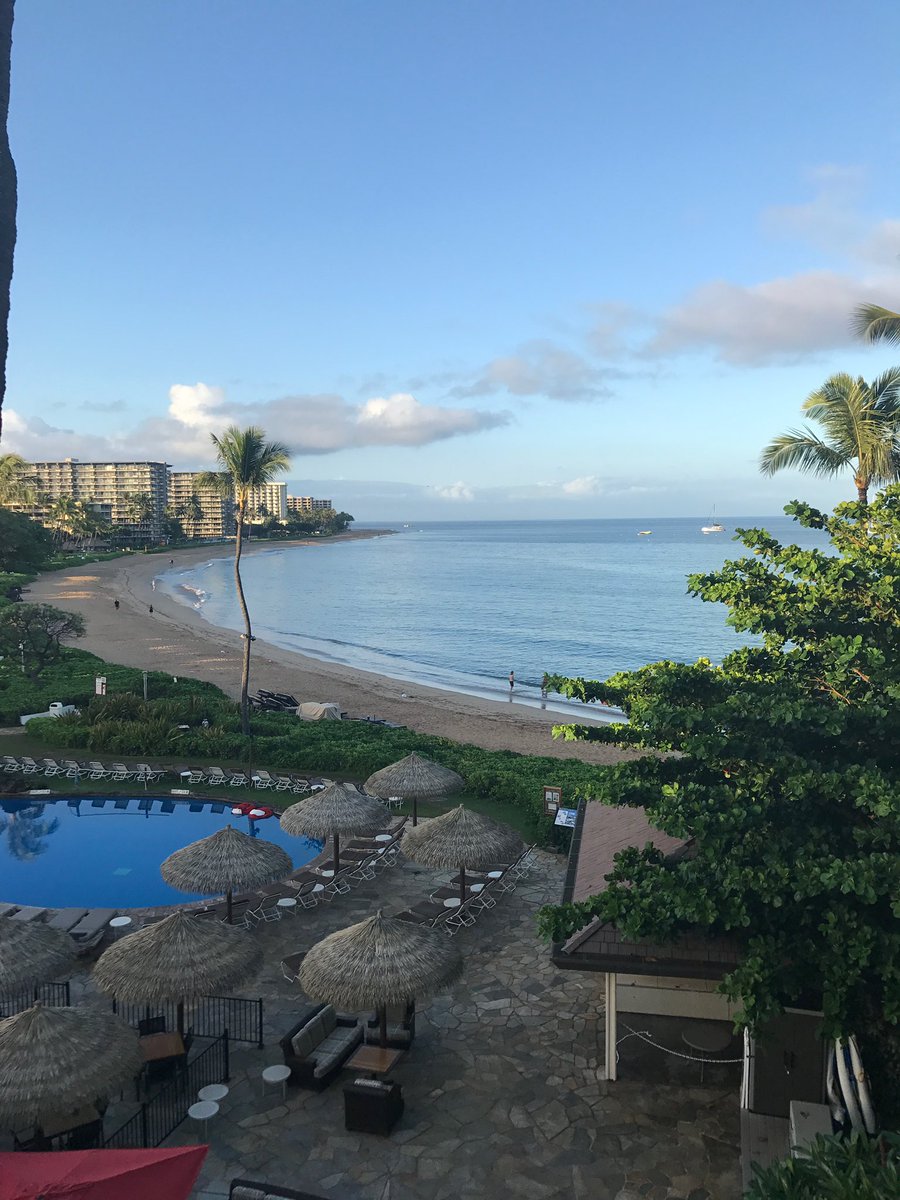 Dara Sadri (@darasadri) on Twitter photo Congrats to all of the PEAK winners and especially our winners from #SOS! Have a wonderful time in Maui Jen Bailey, Mackenzie McDowell, <a href="/rozay_davis/">roseanne Davis</a>, <a href="/ashleytwertz/">Ashley Wertz</a>, & <a href="/RealMattyRob/">Matt Robertson</a>! 🏄 🏄♀️ 🏝 Congrats to all of the PEAK winners and especially our winners from #SOS! Have a wonderful time in Maui Jen Bailey, Mackenzie McDowell, <a href="/rozay_davis/">roseanne Davis</a>, <a href="/ashleytwertz/">Ashley Wertz</a>, & <a href="/RealMattyRob/">Matt Robertson</a>! 🏄 🏄♀️ 🏝