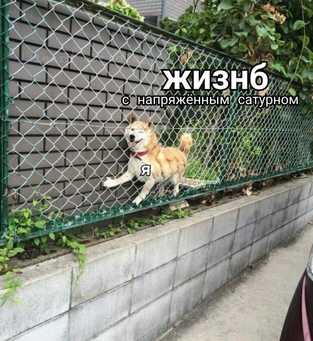 astro_things's tweet photo. https://t.co/ythiJEkPwD