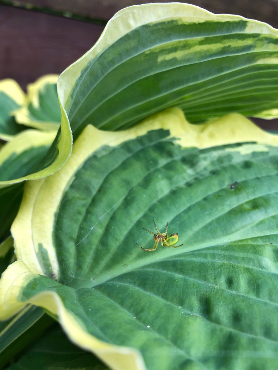 Boz Boston tweet media