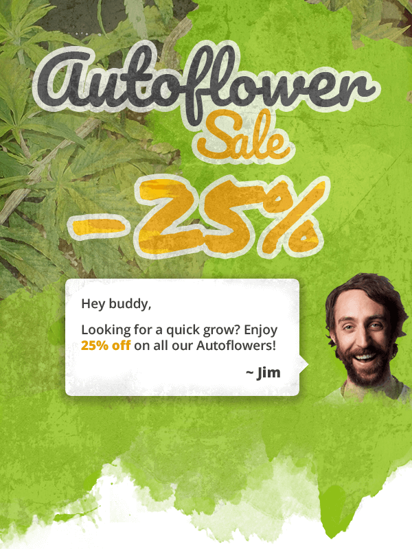 NirvanaShop's tweet photo. this week at https://t.co/CvaShdL0TL !
-
#cannabis #legalize #gyo #marijuana #mmj #indica #Sativa #thc #cbd #dank #stoner #stoners #budporn
#greenporn #cannafam #cannafamily #ppp #greenthumb #dank #smokeweedeveryday #nirvanashop #nirvanaseeds #trichomes #nirvana #wesmokeweed https://t.co/8cfOCiBXUL