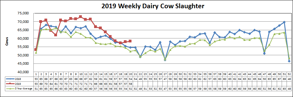 ZachBowers16's tweet photo. And the beefing continues, Dairy Cow Slaughter Week 3 of April up 6.8% YoY. https://t.co/XtqUtu1Ros