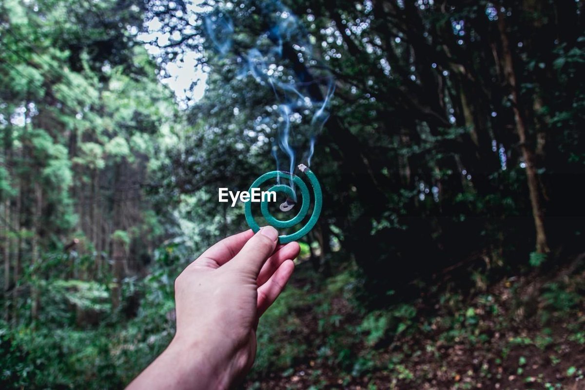 Koukichi_T's tweet photo. #25DaysOfSummer on #EyeEm
▶️https://t.co/Ly7U4knmWf
▶️https://t.co/A13SoXuWic
▶️https://t.co/icH0DGnrHD
▶️https://t.co/jFtgx5vs4n
#ktpics #ExceptionalNormalcy #Summer #Japan #ファインダー越しの私の世界 https://t.co/te3uHfMjWB