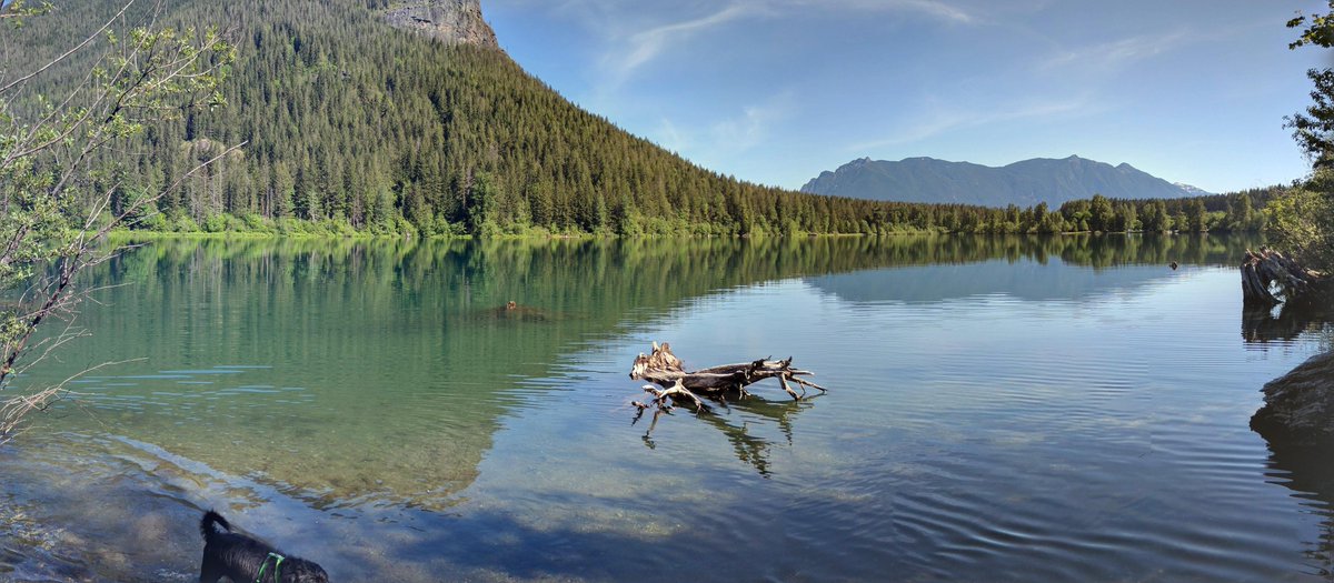 Summer is the perfect time to get outside for some camping, but are you prepared to coexist with the bears and bunnies? Join the experts at Issaquah's REI tonight from 6:30 to 8:30 to pick up some tips on how to keep our furry friends out of your campsite!