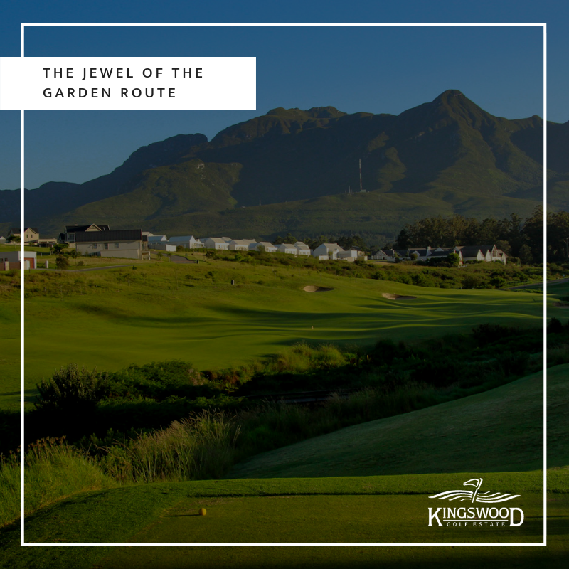 Swingclick Golf tweet media