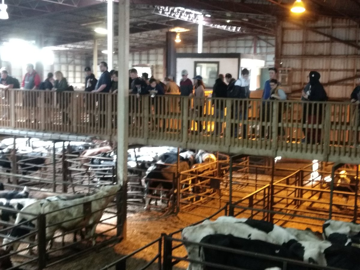 W. Nicholls tweet media