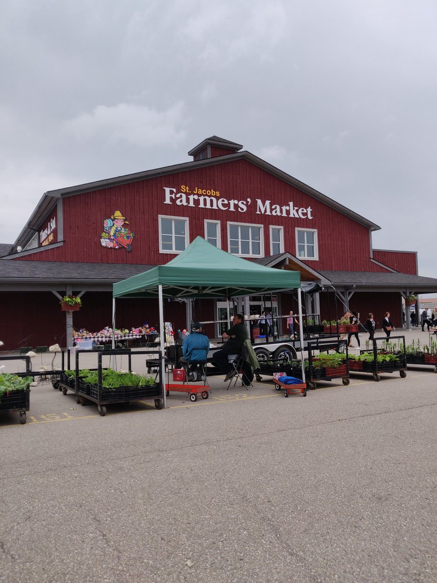 A great day to explore the market, compare prices and visit the auctions! TTSC experiential learning <a href="/TollgateTech/">Tollgate Tech.</a> <a href="/GEDSB/">Grand Erie District School Board</a>
