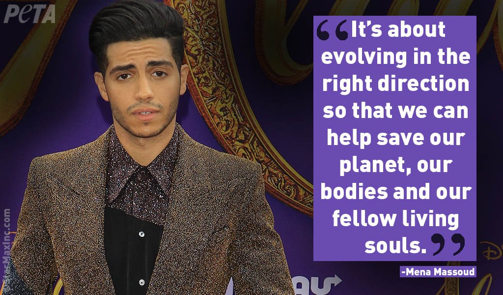 peta's tweet photo. Shout out to #Aladdin star and #vegan @MenaMassoud for choosing compassion for animals with every meal and encouraging the world to #EvolveVegan 💜

 https://t.co/SsvY6G0IDF https://t.co/CFkQM85SbA