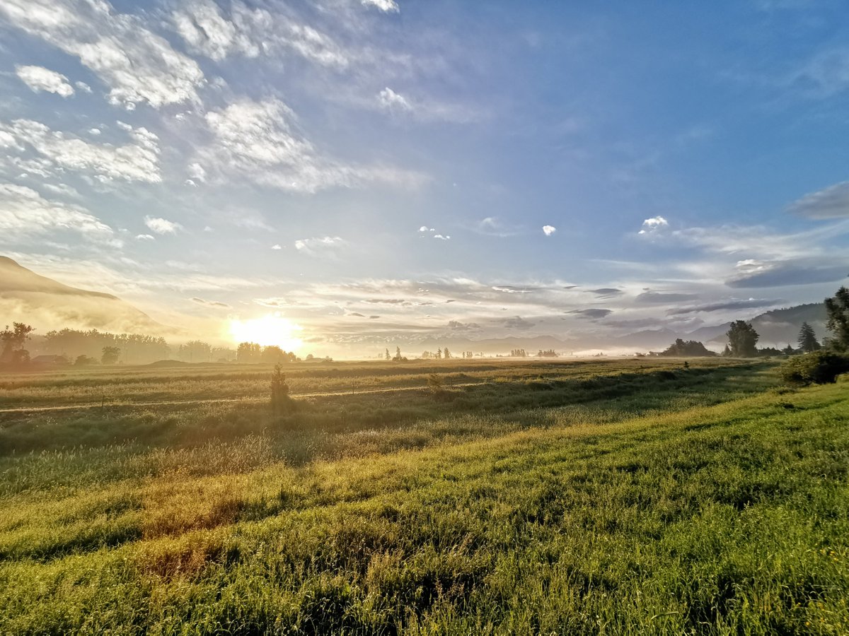 Views like this are why I get up early at the weekends to explore the #FraserValley! #BCTourismWeek #BCTourismMatters #NoFilter #noedit #ExploreBC #beautifulbc #scenic7bc #britishcolumbia #road #sunrise #CapturedonHuawei #Mate20Pro #SmartphonePhotoraphy #pnw