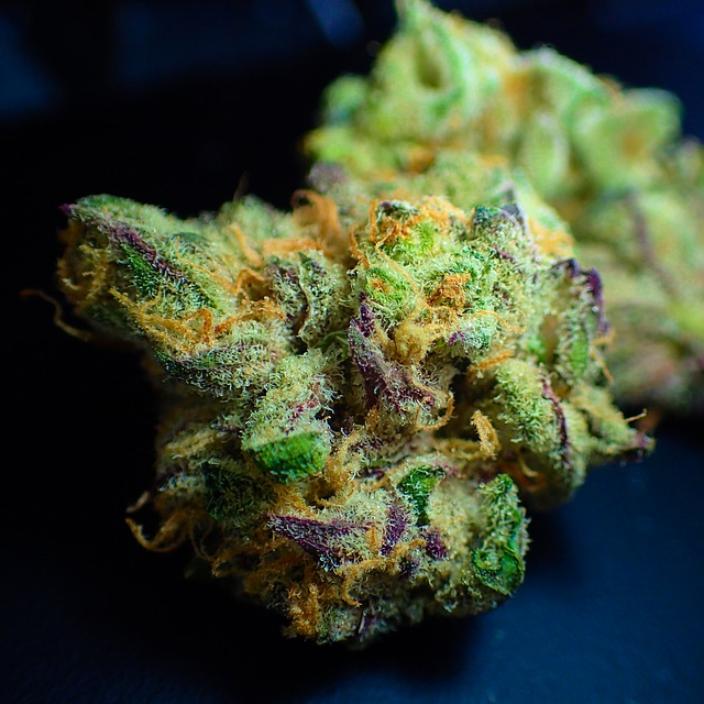weedpandashop's tweet photo. FLASH SALE! STORE WIDE FLOWER SALE TODAY ONLY! ALL FLOWER IS ON SALE FOR 20% OFF! #ukstoners #usstoners #usconcentrates https://t.co/odnLKMPux3