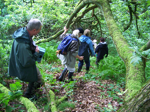 #WildlifeRecording is essential for UK #Conservation. Who are your unsung heroes? Don't forget to nominate them for #NBNawards19!   bit.ly/NBNawards19️‍  🔎🕵️‍♀️ (c) Derek Crawley @NBNTrust @iRecordWildlife @iSpotnature @inaturalist @opticronuk @FieldStudiesC