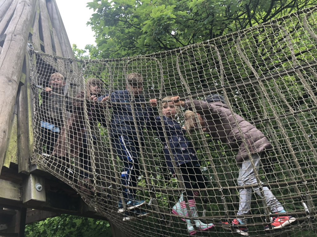 allthingsactiv1's tweet photo. Great day at Holiday Club in @NTLymePark https://t.co/Q2wV0J5SDR