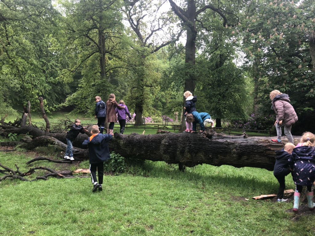 allthingsactiv1's tweet photo. Great day at Holiday Club in @NTLymePark https://t.co/Q2wV0J5SDR