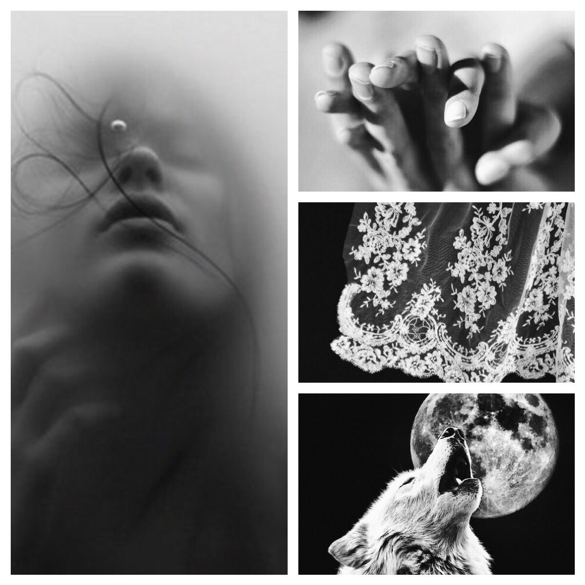 “When the moon rises, the wolves look up and howl remembering the Starks of Winterfell.”