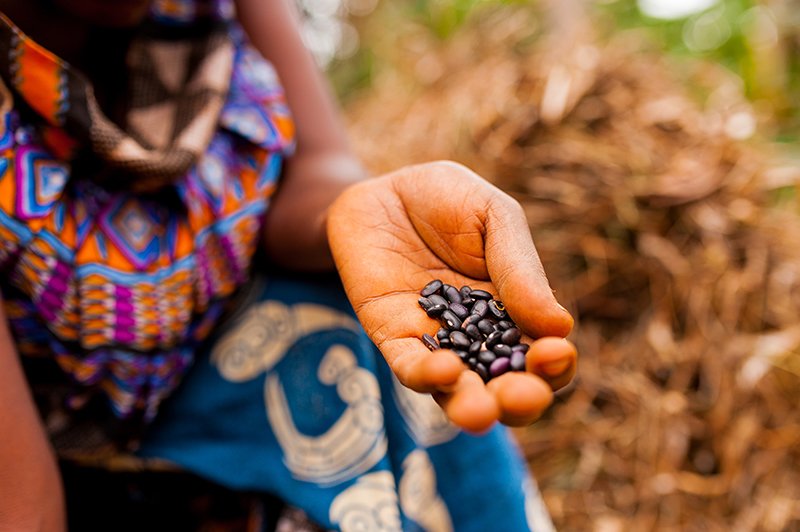 RightsResources's tweet photo. Fighting #ClimateChange and #FoodInsecurity requires a more inclusive approach—one that supports the #LandRightsNow of the 1 billion+ women who manage the world's community lands. Learn more about how women #Deliver4Good via aiwn + @tebtebba: https://t.co/USTd9Jv2DS https://t.co/m2cWk9h9p0