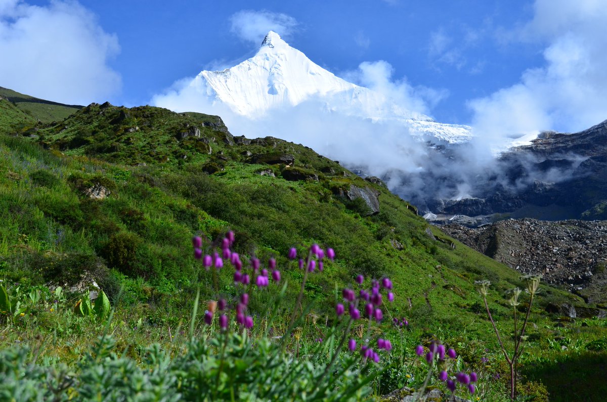 worldtourplan09's tweet photo. Contact us for Bhutan tour
https://t.co/HPRKE1ogzP
#bhutan #visitbhutan #tourism #holiday #vacation #worldtourplan #besttripplannerinbhutan #traveltips #happinessisaplace #travel #adventure https://t.co/gDBrJReHhw