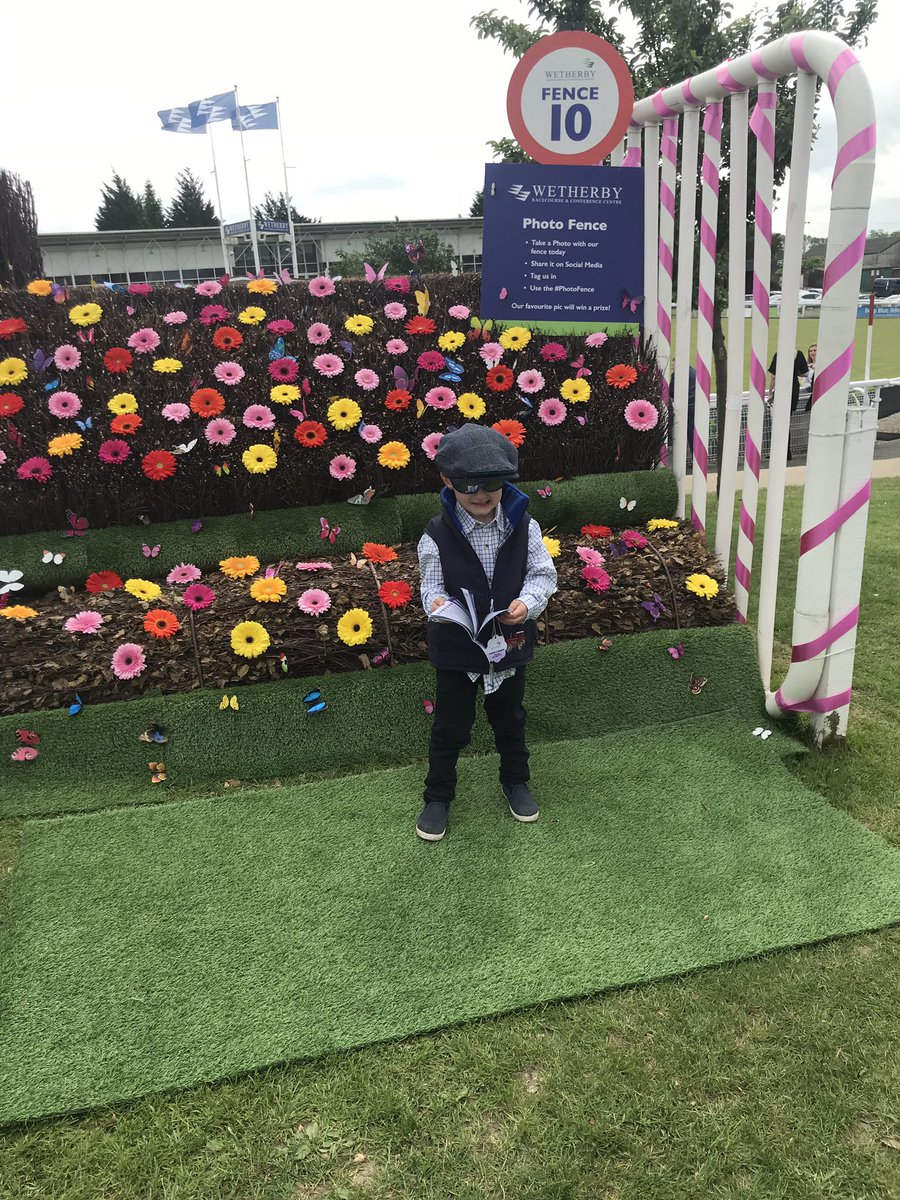 debi_harris's tweet photo. Picking the next winner #photofence @WetherbyRaces https://t.co/ULmcRVrlBq