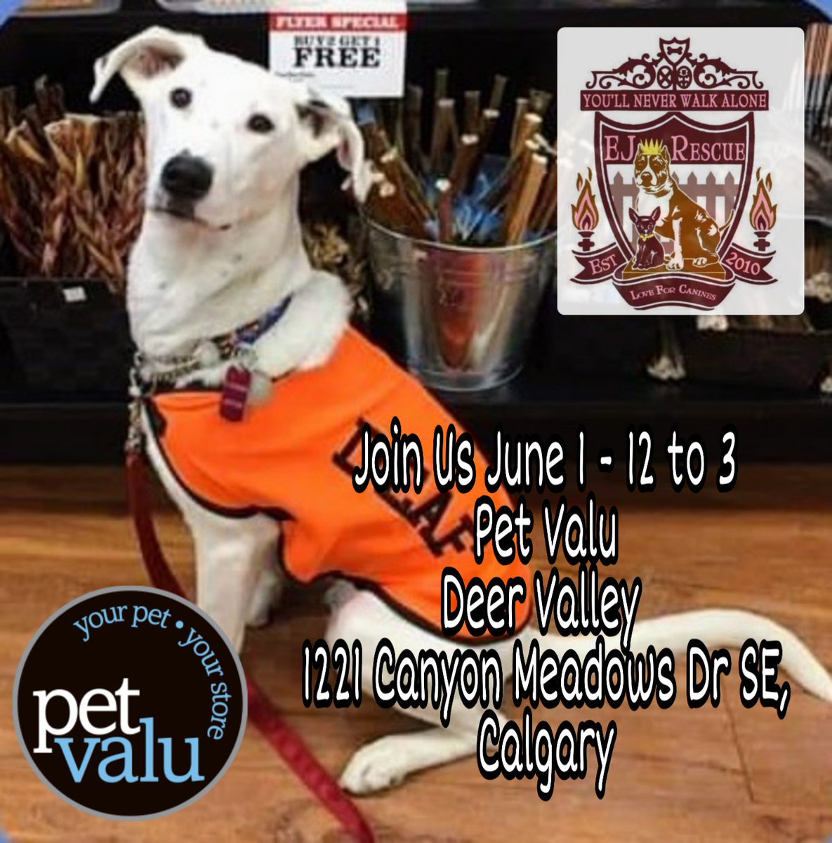 RescueEj's tweet photo. #AdoptionEvent this Saturday in #Calgary! June 1 from 12 to 3 at @petvalu. Come out and meet some of our #doggos maybe find your new #furrryfriend.
#compassion #dogs #AdoptDontShop #woofwoof #wherethedogsat #DoggosofYyc #Yyc_Now #Jobsfordogs #dog_rates #dogbots #puppylove #pup https://t.co/EEcHxZUkYf