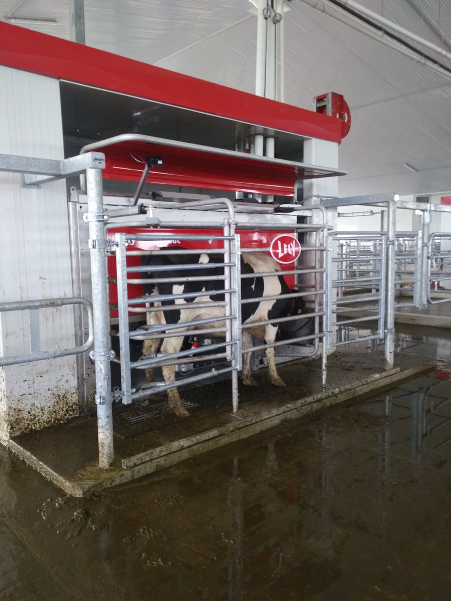 Robot startup for <a href="/SteveVandendool/">Steve Vandendool</a> going great! <a href="/BWFeed_seed/">BW Feed & Supply</a>