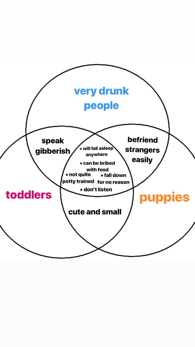 shauna_isabelle's tweet photo. after some very extensive research i have come to this conclusion https://t.co/lyxqS5S0ky