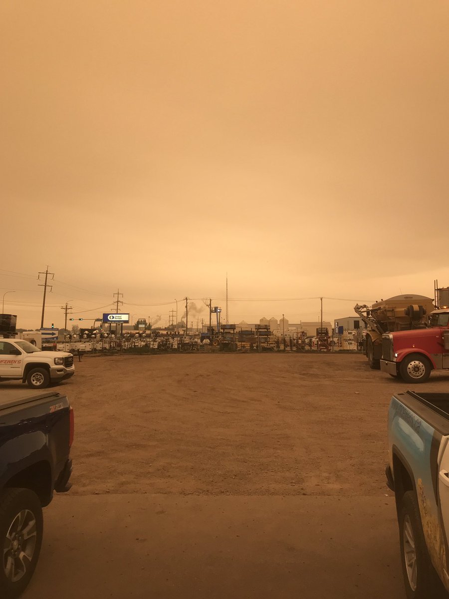 People in #WestCdnAg talking all week about the Flea Bettle Apocalypse.....and then we wake up to this in Fort Sask today 😬😬