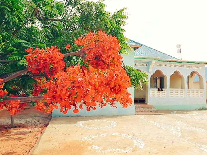 liiabdii's tweet photo. #Madaxtoyada #Adaado
Ahna Xarunta Barlamanka
#Galmudug
Waxaa Ka Muqata Bilic Aad U Wanaagsan Waxaa kabaxey
#Ubax Aad U #Carfoon
_____________________________
Waxaa dhirtaan aadka U qurxon
Ku Abuurey #Xarunta #Adaado
#Axmed_Sheekh_Hasan (#Jaga_jago) https://t.co/nVNSq2L4Bx