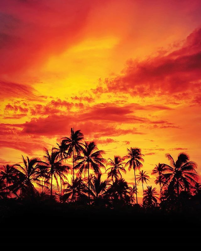 imchromatik's tweet photo. Hell in paradise.
.
.
.
.
.
.
.
.
.
.
.
.
.
.
.
.
#nature #naturephotography #nature_good #natureza #nature_perfection #naturelovers #photography #sunset #landscape #naturelover #puertorico_greatshots #puertoricogram #wanderlust #explore #backpakingpr #placespr #thatprlife #… https://t.co/zssSvr7n4L