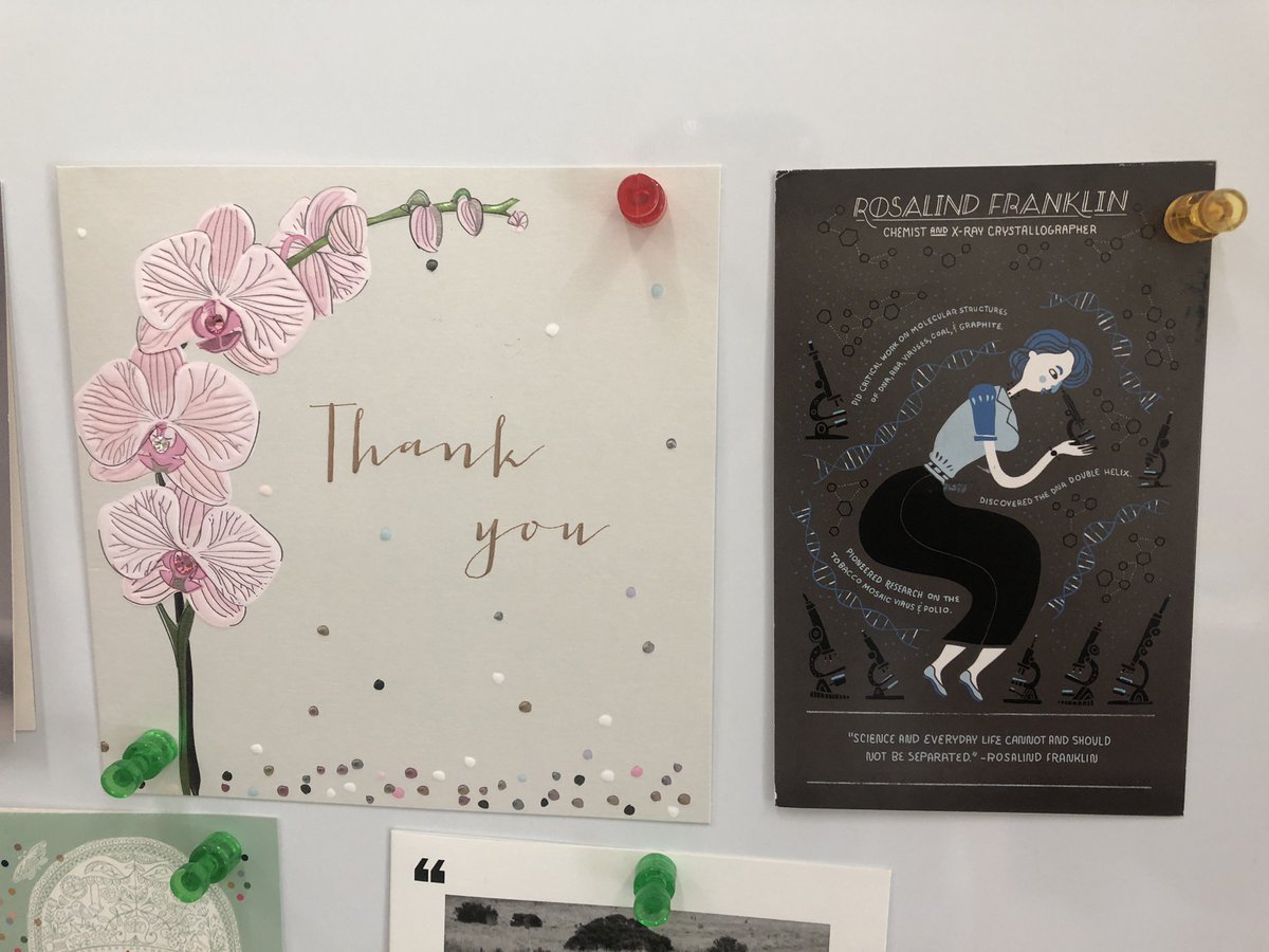 What a great week! Received two #thankyou notes from former female trainees who are kicking butt in science. #soproud #gratefulmentor #WomenInSTEM