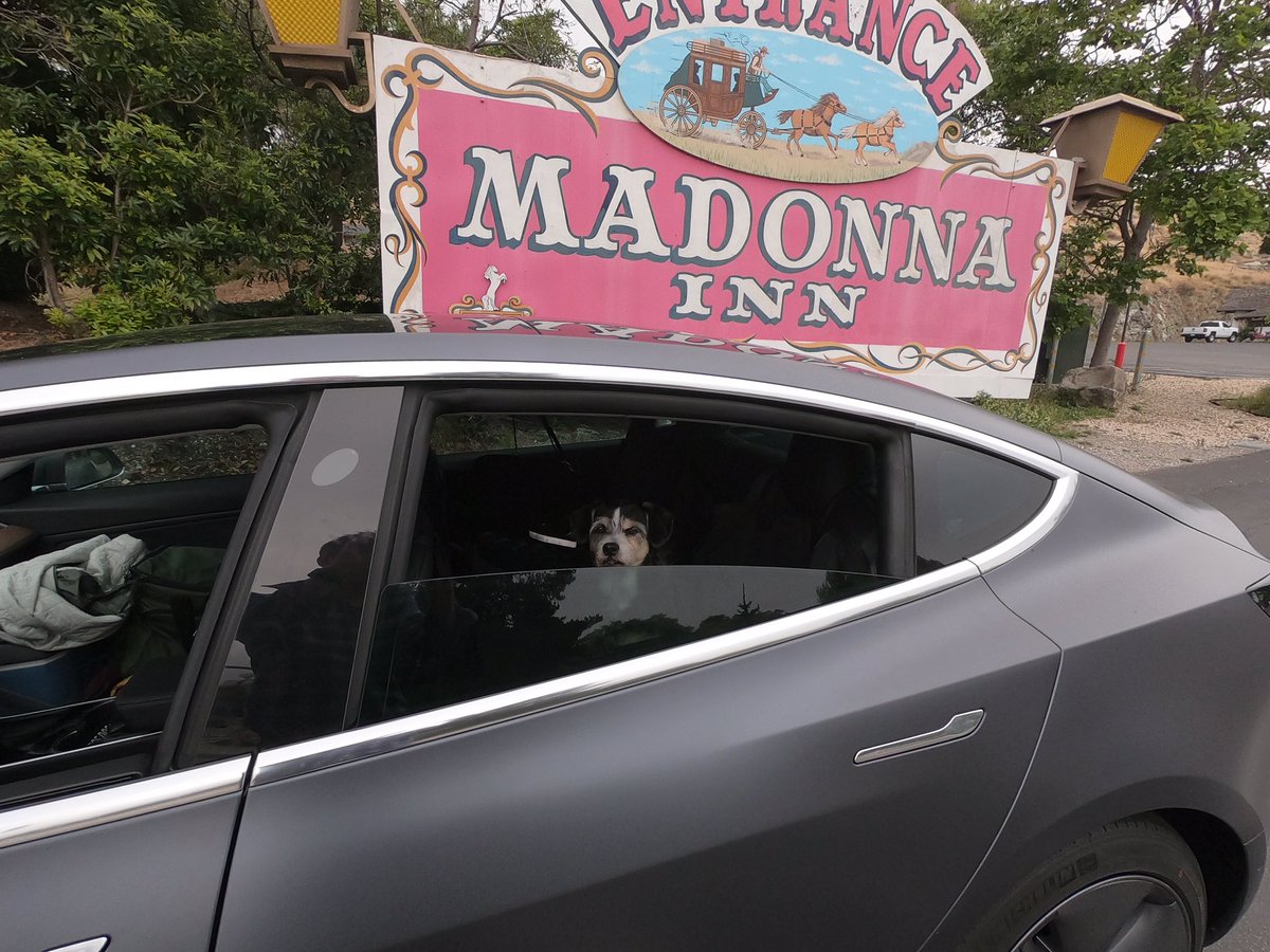 Madonna In <a href="/MadonnaInn/">Madonna Inn</a> <a href="/aPowerTrip1/">aPowerTrip</a> @apowertrip