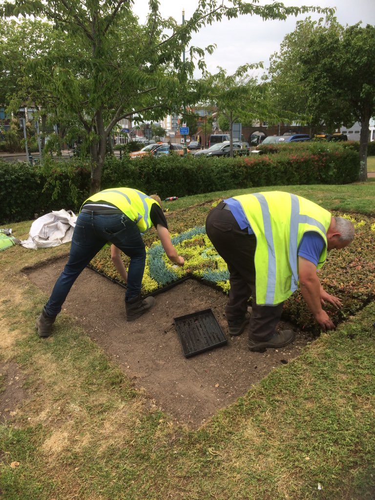 markhibbs10's tweet photo. Very proud of my team at Sodexo Horticultural Services, fantastic job guys at Falkland Gardens Gosport for GBC @Paul__Donnelly @Hort_Sodexo https://t.co/UXDCHcE59E