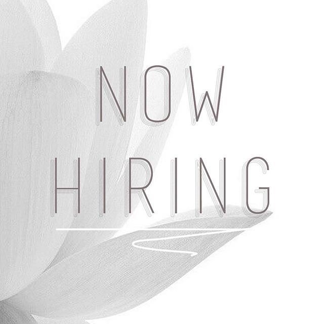 STONE is Hiring!! tweet media