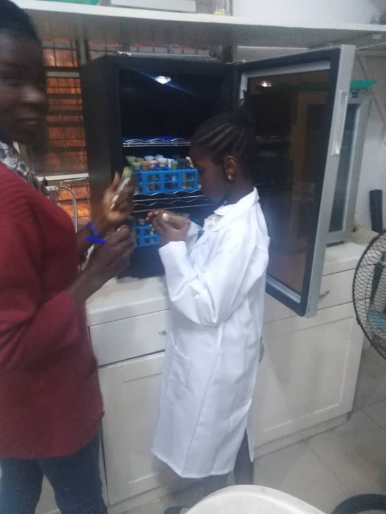 DrosLabUI's tweet photo. Today, @DrosLabUI is delighted to host a primary 5 student, Honour Ayooluwa from The Olives International School, Ibadan Nigeria via the program A Day out of School. Many Thanks to all the facilitators. @ManFlyFacility @Poppi62 https://t.co/zlJt1pbYOx