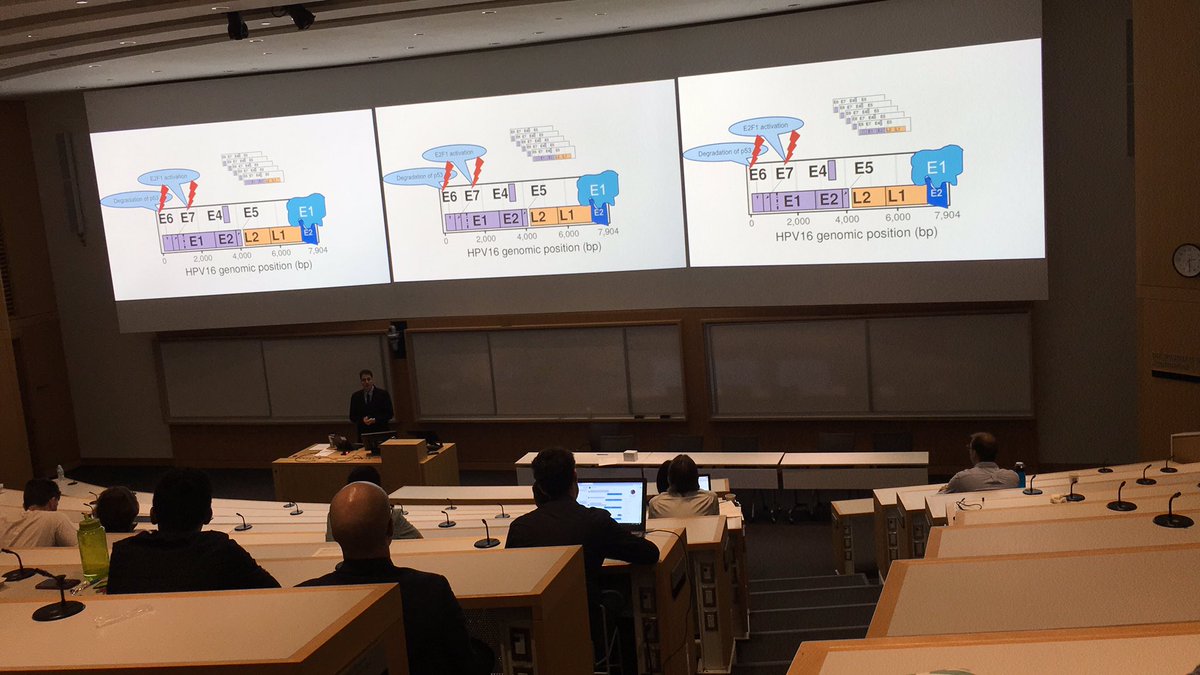 MBPGSA's tweet photo. Come now for Mehran Karimzadeh’s presentation on his PhD project about HPV at JLM 2019!
#JLM2019 #hpv #epigenome #transcriptome #science #phd #mbp #mbpgsa https://t.co/Jb2kBmK0Xy
